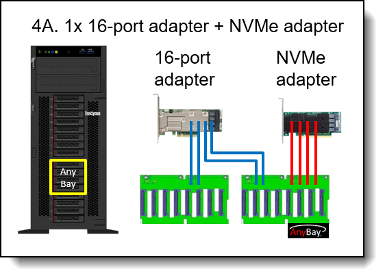 Adapter and cabling for 16 drive bays, where 4 of the bays are AnyBay